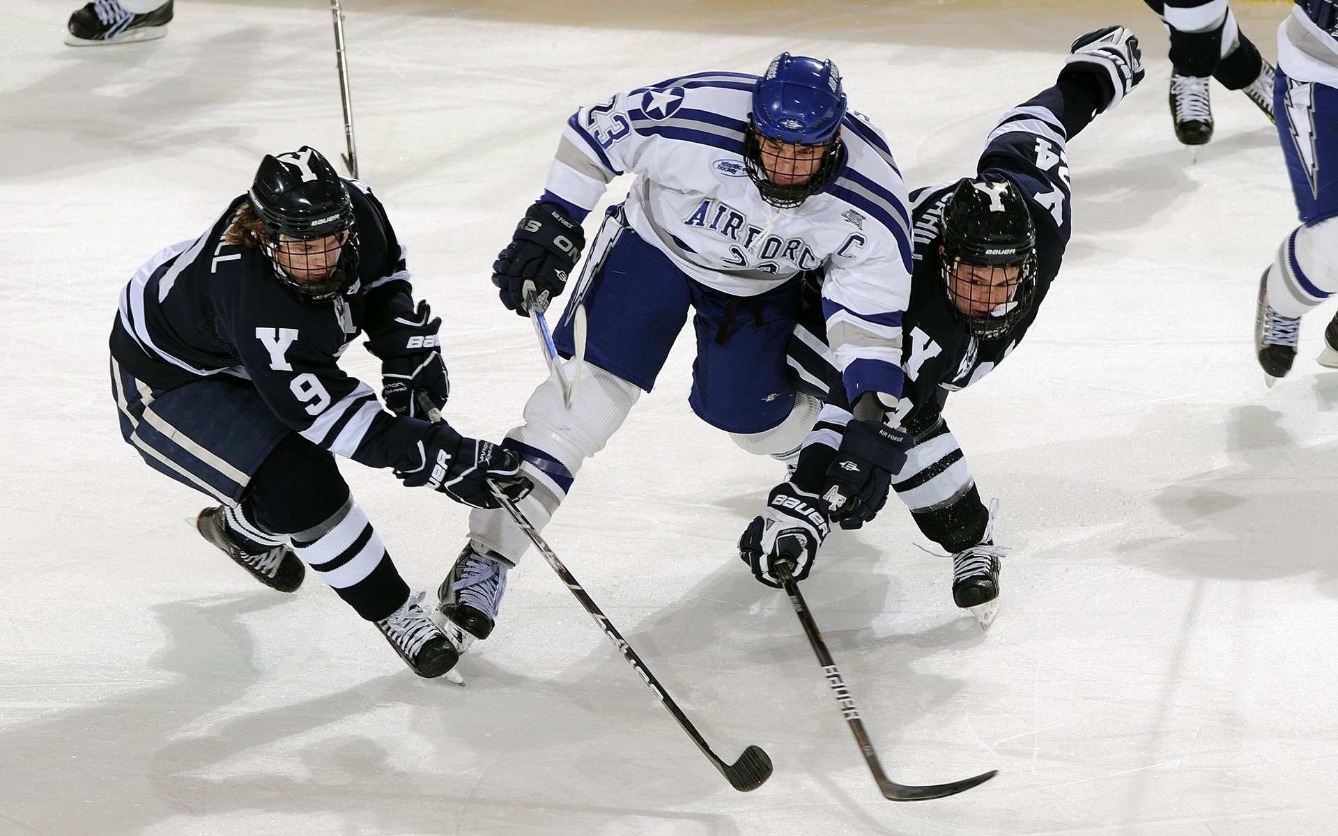 “雪原冠军：白色王者的荣耀战役”，白色雪原是什么短语类型