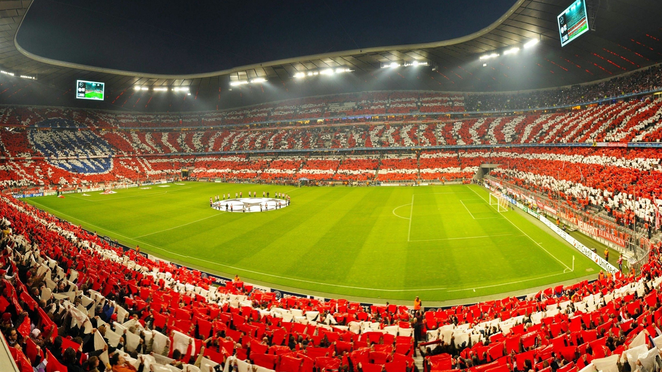 “雪原冠军：白色王者的荣耀战役”，白色雪原是什么短语类型